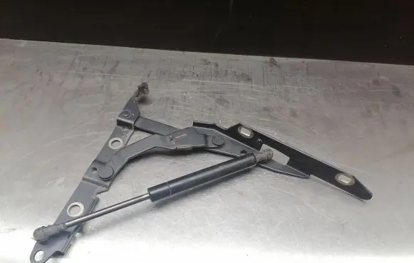 Jaguar X-Type Tailgate/trunk/boot hinge 1X43432A38AC