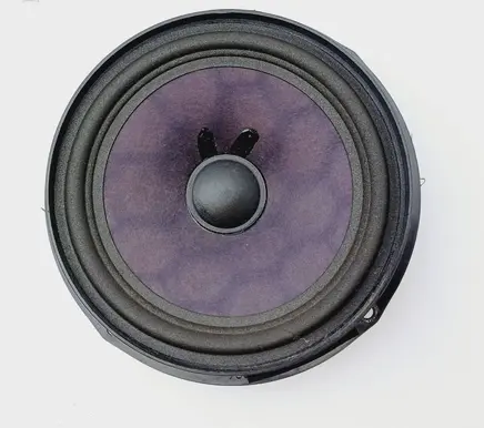 Front door speaker