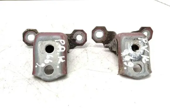 Renault Laguna II Front door hinge set TEB76