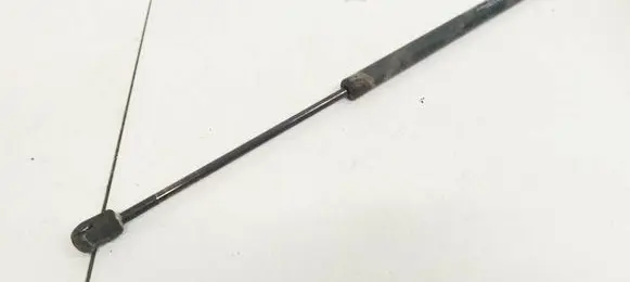 Tailgate/trunk strut/damper
