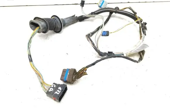 Rear door wiring loom