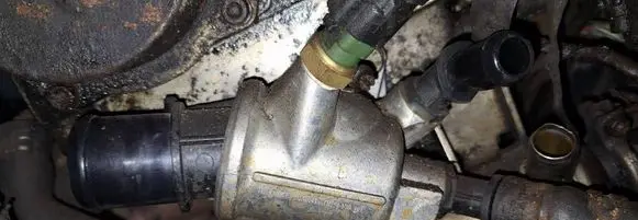 Engine coolant pipe/hose