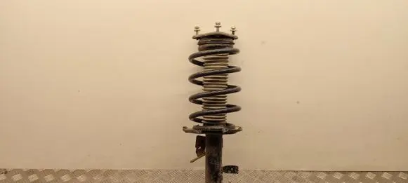 Ford Transit - Tourneo Connect Front shock absorber with coil spring DV6118045AC