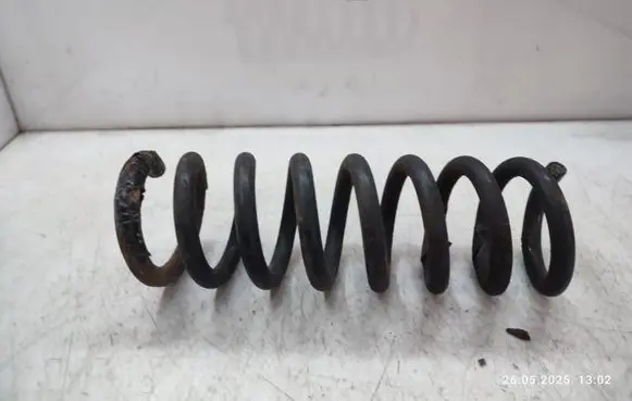 Rear coil spring