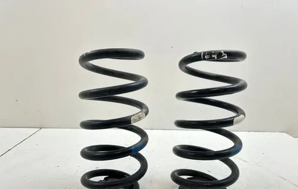 Rear coil spring