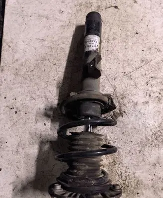 BMW 3 GT F34 Front shock absorber with coil spring 824903016411 317850