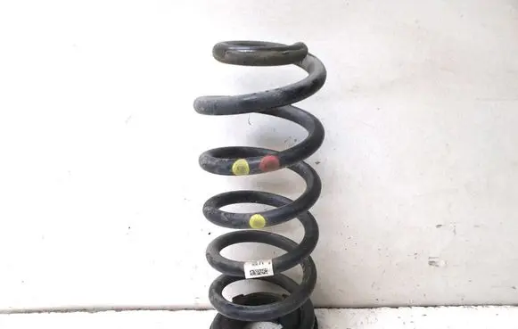 Rear coil spring