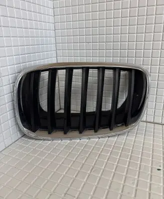 BMW X6 E71 Front grill 51137171395