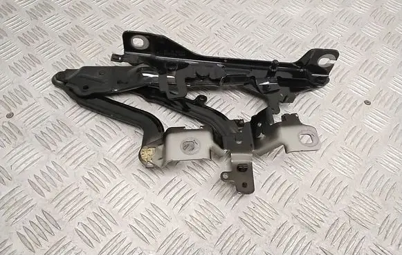 BMW iX Engine bonnet/hood hinges 7933385