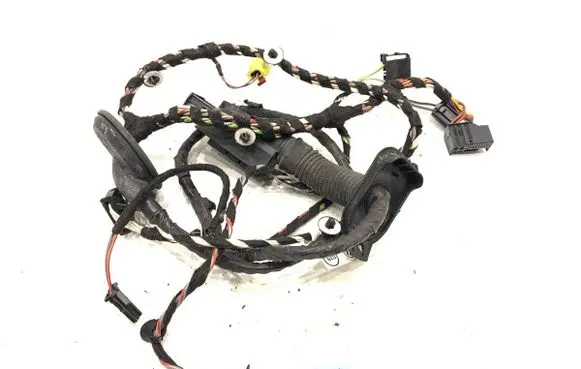 Volkswagen PASSAT B8 Front door wiring loom 3G1971120H
