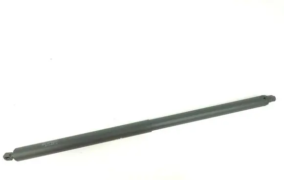 Tailgate strut