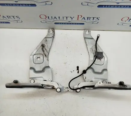 BMW X5 E70 Engine bonnet/hood hinges