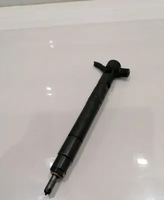 Chevrolet Captiva Fuel injector 28489548
