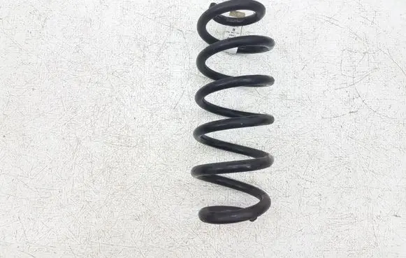 Ford Escape IV Rear coil spring LX615560 LX615560NND E29EJ
