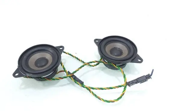 BMW X5 E53 Panel speaker 8379375 65138379375