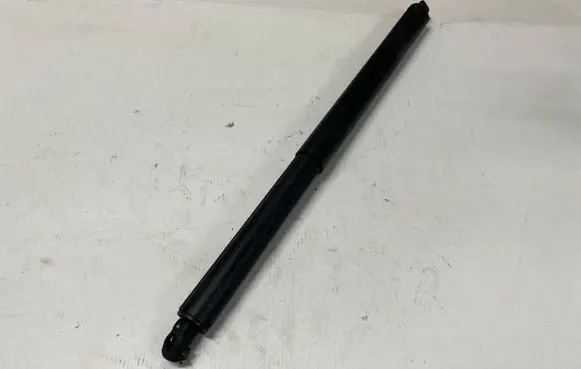 Tailgate strut
