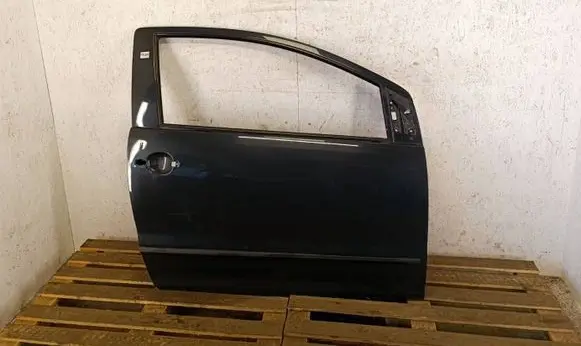 Volkswagen Fox Front door