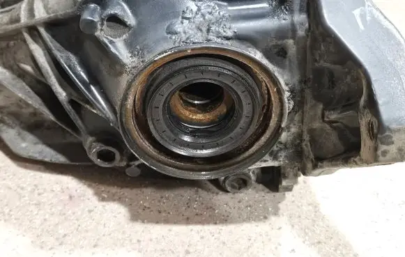 Rear differential