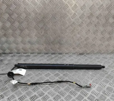 Ford Kuga III Tailgate/trunk strut/damper LV4BS402A55CA