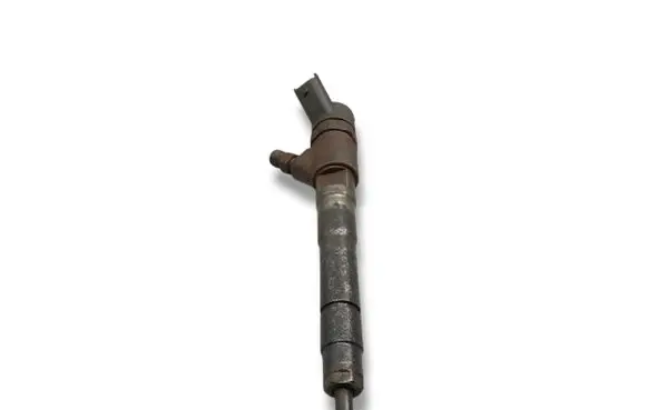 Fiat Ducato Fuel injector 0445110418 504389548