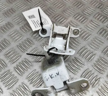 Rear door hinge set