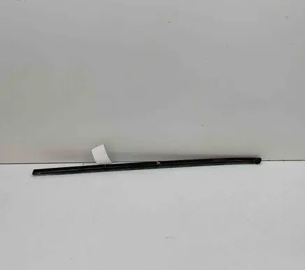 Nissan Ariya Front door glass trim molding 808215MP0A