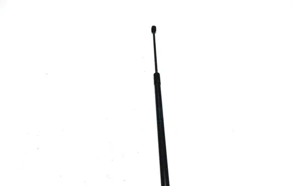 Tailgate strut