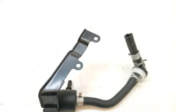 Hyundai i30 Vacuum valve 29010-08000