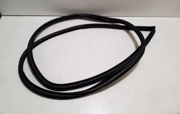 Toyota bZ4X Rear door rubber seal (on body) 