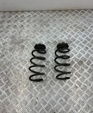 Renault Captur II Rear coil spring