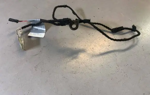 BMW 1 E81 E87 Front door handle light (exterior) 7184362 63317184362