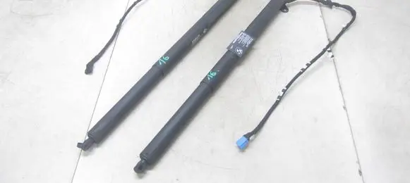 Tailgate/trunk strut/damper