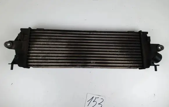 Renault Trafic II (X83) Intercooler radiator 93854162 8200411160