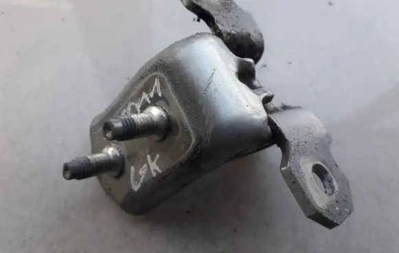 Renault Laguna II Rear door lower hinge