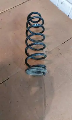 Volkswagen Golf V Rear coil spring