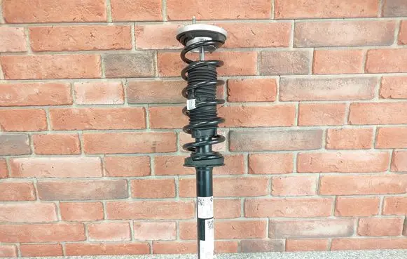 Rear shock absorber/damper