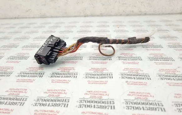 Rear door wiring loom