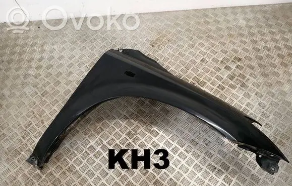 Nissan Murano Z50 Fender 
