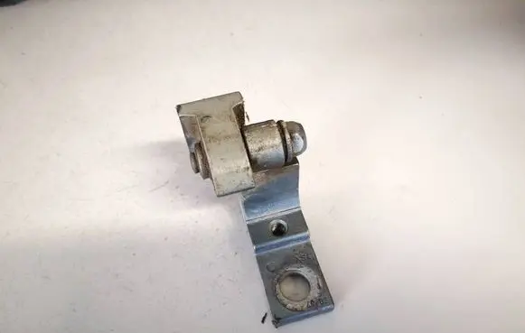 Rear door lower hinge
