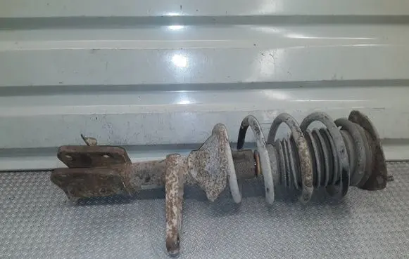 Land Rover Freelander Front shock absorber with coil spring 