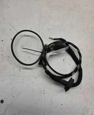BMW 7 E65 E66 Front door wiring loom 6920291