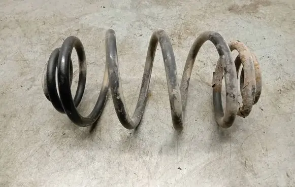 Rear coil spring