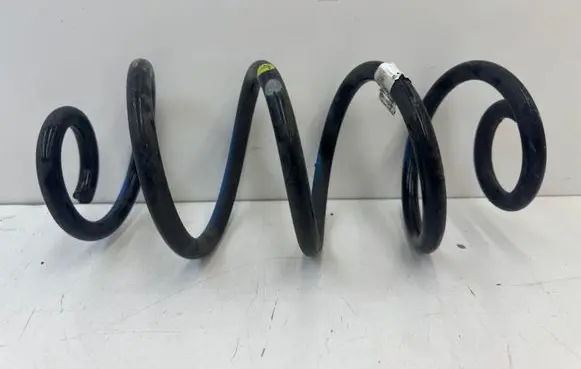 Rear coil spring