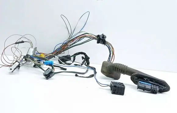 Front door wiring loom