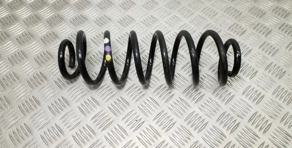 Volkswagen PASSAT B7 Rear coil spring