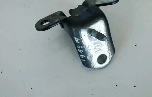 Ford Fiesta Rear door lower hinge