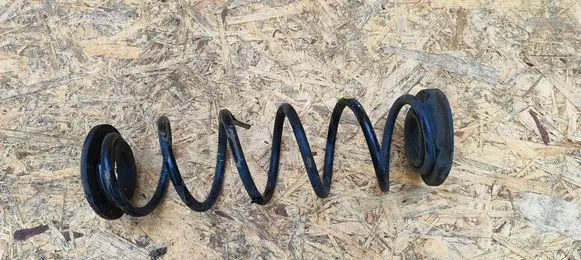 Rear coil spring