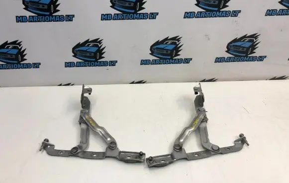 Chrysler 300 - 300C Tailgate/trunk/boot hinge 197AD 196AD