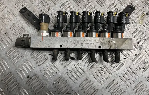 Lexus RX 330 - 350 - 400H Fuel injection (other) 67R010185 110R000005