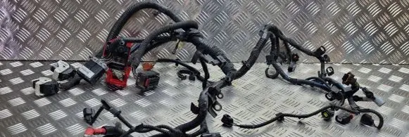 Ford Ecosport Engine installation wiring loom 8V5T14488DA CN1512A522